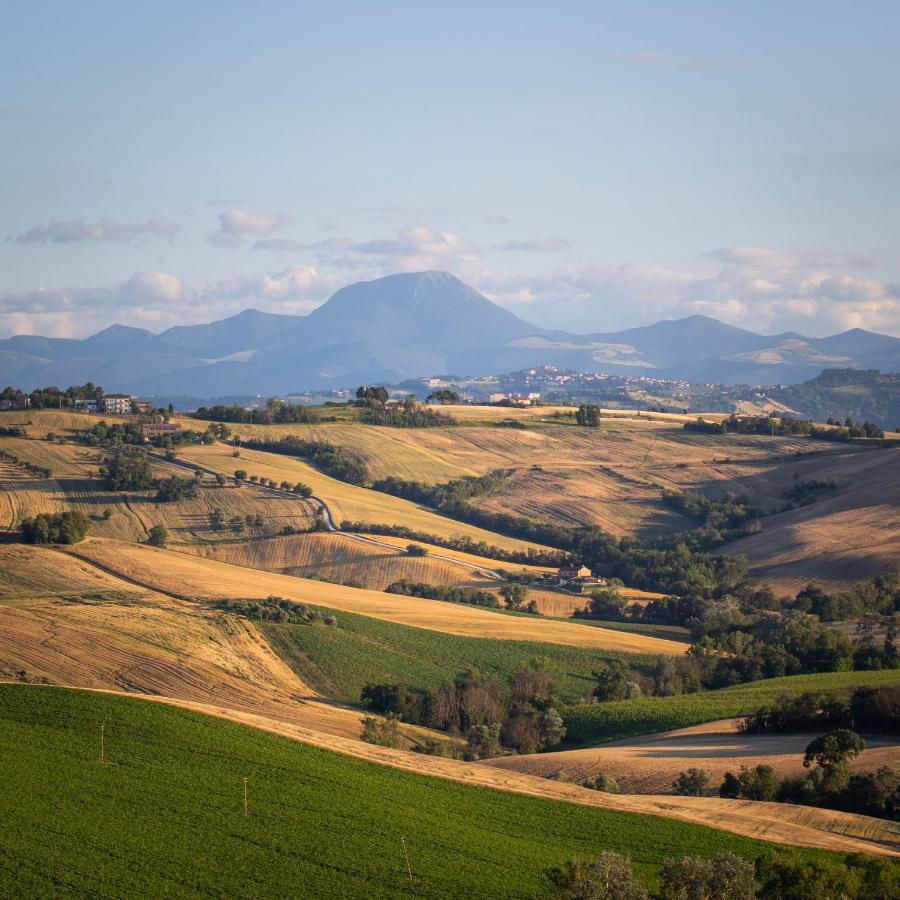 Tenuta San Marcello Сан-Марчелло Экстерьер фото